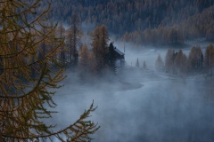 DSC00015